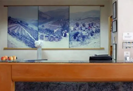 Hotel Douro 3*